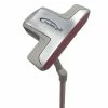 Fearless Raptor 2 Ball Blade Putter 1 Fearless Raptor 2 Ball Blade Putter -Fairway Woods Shop 1 3